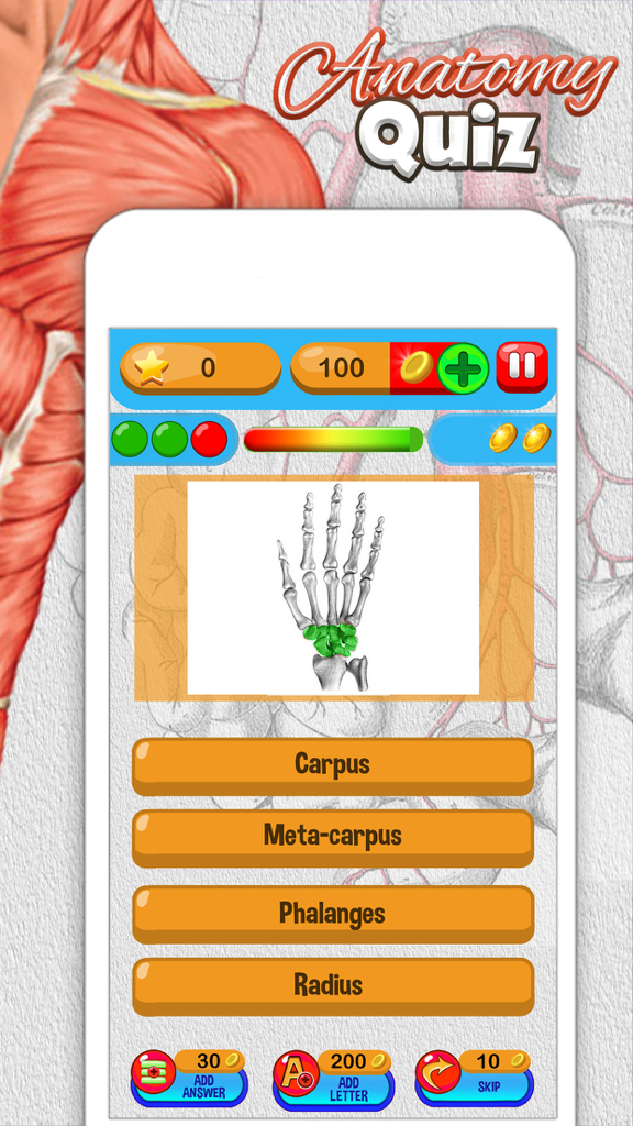 Anatomy quiz game interface showing a skeletal hand identification question with multiple choice options.