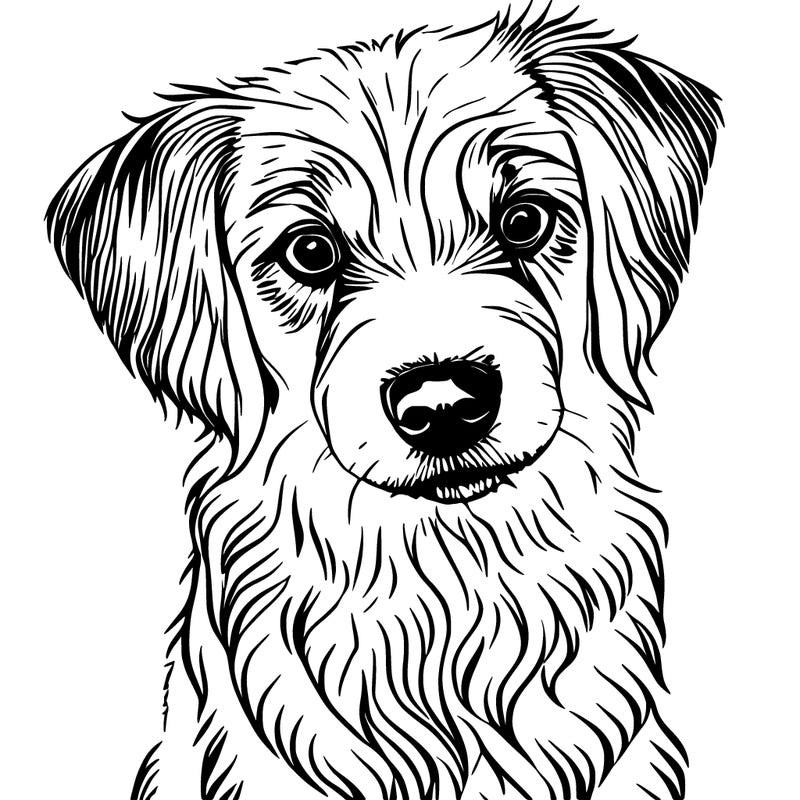 cute dog