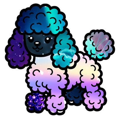 poodle