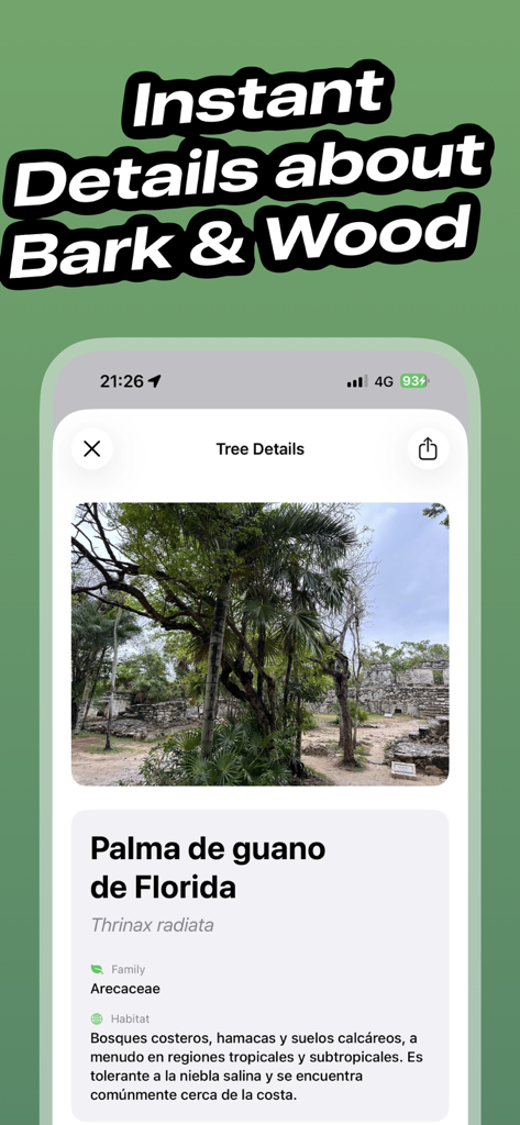 Tree Identifier - TreeBarkId - TreeBarkId mobile app screen showing scientific identification and habitat for a Florida Thatch Palm tree