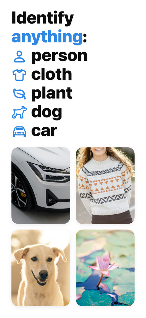 Interfaz de la aplicación que demuestra la identificación visual de objetos, incluyendo coches, ropa, plantas y perros