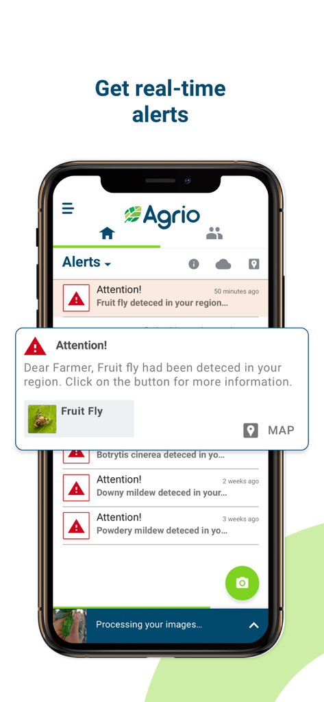 Agrio - Plant diagnosis app - Smartphone screen showing Agrio app real time alerts for fruit fly and crop diseases