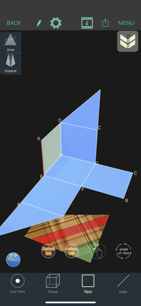 An unfolded 3D geometry shape net with labeled vertices in the Mathematical Playground app.