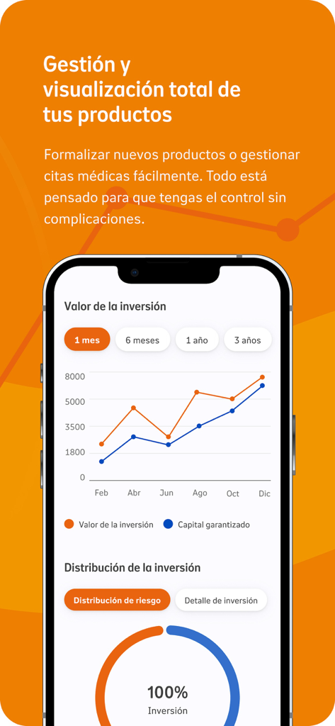 Interfaz de la aplicación móvil Nationale-Nederlanden que muestra un gráfico de línea del valor de la inversión y el capital garantizado a lo largo del tiempo.