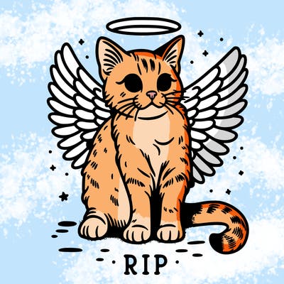 rip cat realistic cat with angel wings