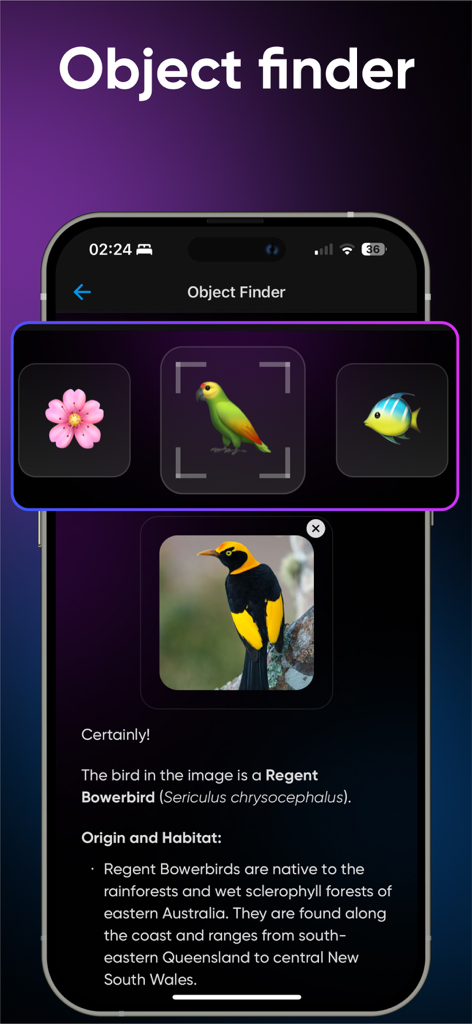 AI Hub: 50+ Open Source LLM - AI Hub app screenshot showing the Object Finder feature identifying a Regent Bowerbird and providing detailed information