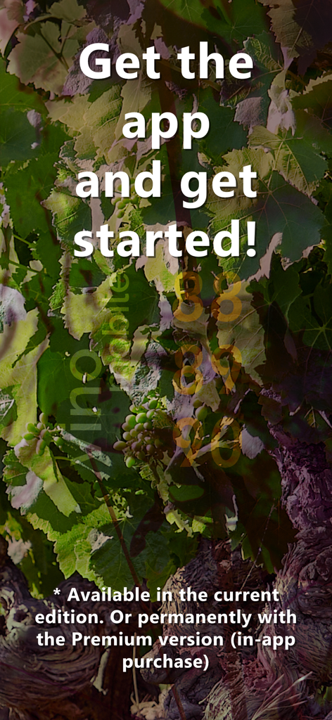 Call to action screen for Wine Vintages Rating Guide app featuring grape leaves background