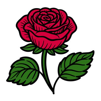 a rose