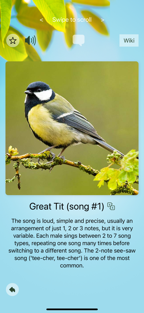 Screen from the Chirp app showing a Great Tit bird and its song profile
