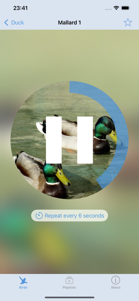 Bird decoy - Interface do player de som de pato-real no aplicativo Espantalho de Pássaros