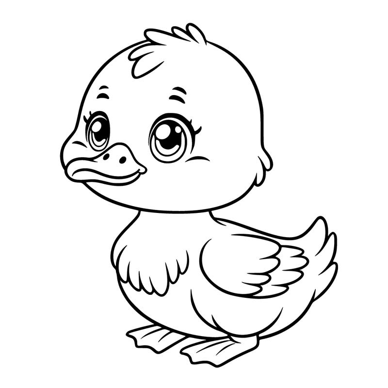 cute duck