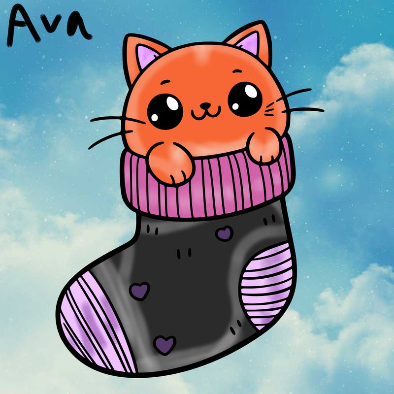 cute cat in a sock