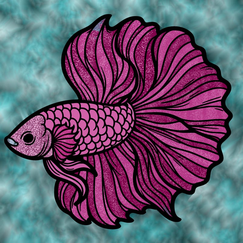 betta fish