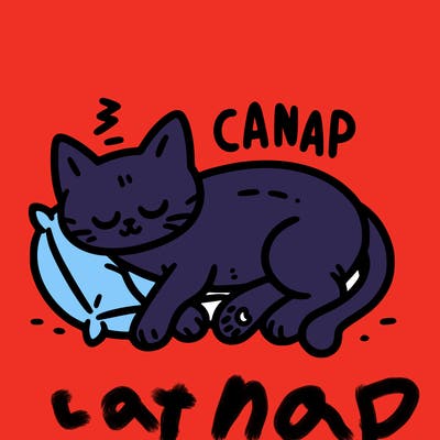 catnap