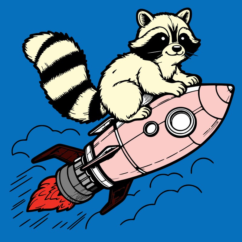 realistic raccoon flying on top rocket ship