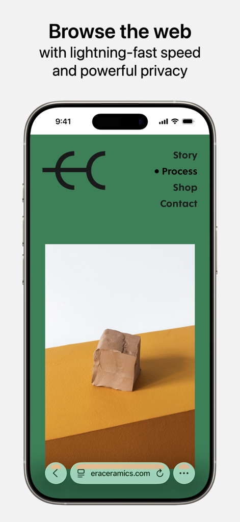 Safari - Navegador móvil Safari en iPhone mostrando una interfaz de sitio web limpia con enfoque en la privacidad