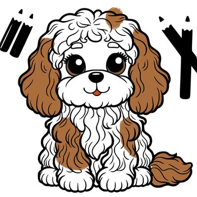 cavapoo