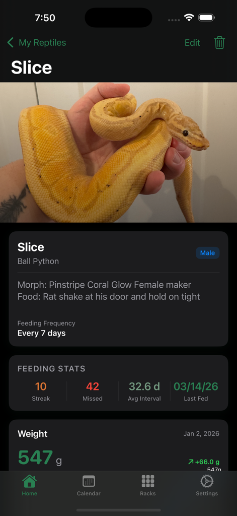 Reptile Tracker: Pets - Detailed profile of a ball python named Slice in the Reptile Tracker app showing feeding stats and weight data
