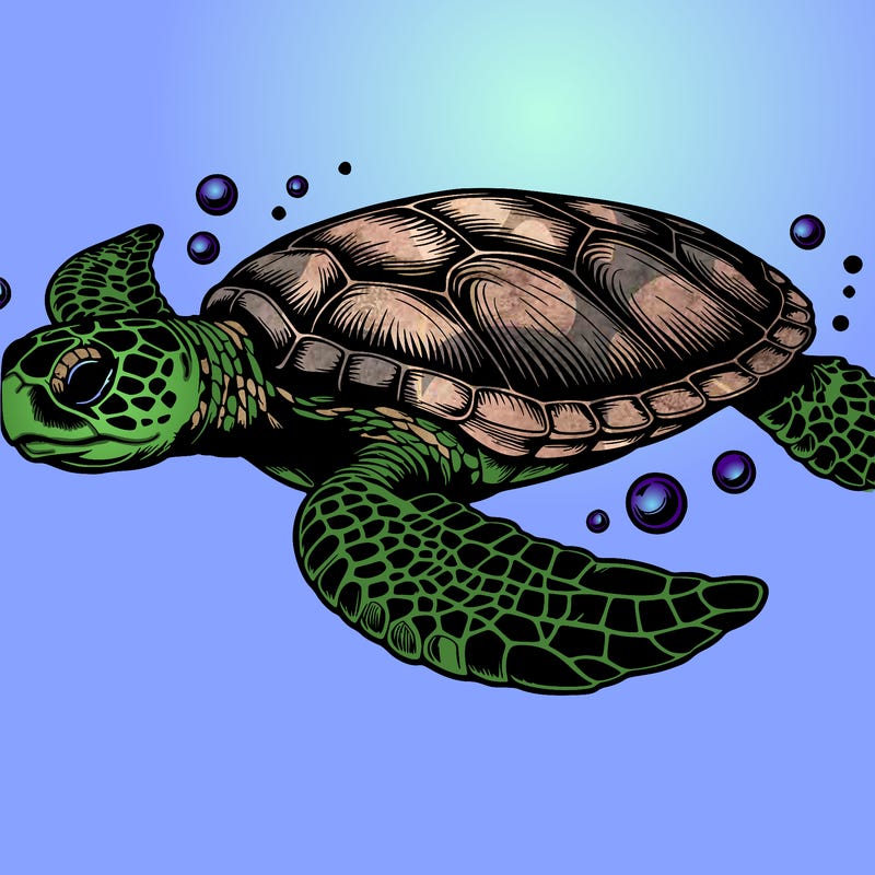 realistic sea turtle swimming