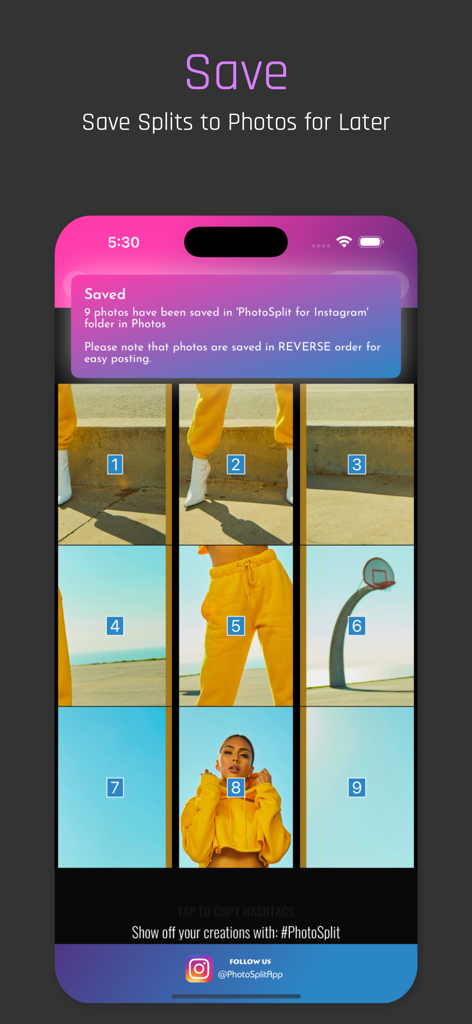 PhotoSplit for Instagram - Interface showing a 3x3 image grid being saved to the phone photo library