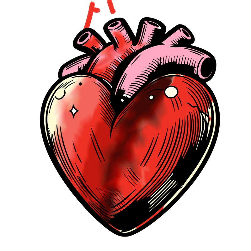 realistic heart