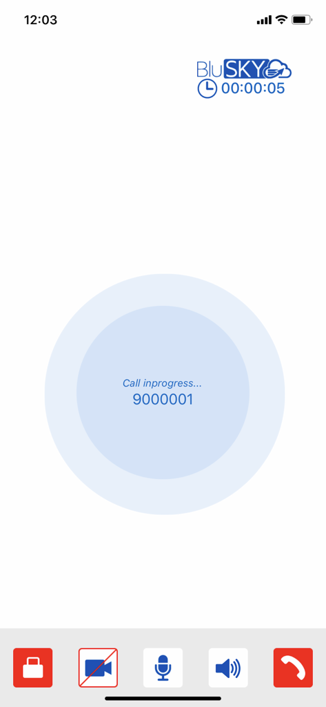 Écran d'appel actif dans l'application mobile BluSKY montrant les contrôles de communication de sécurité.