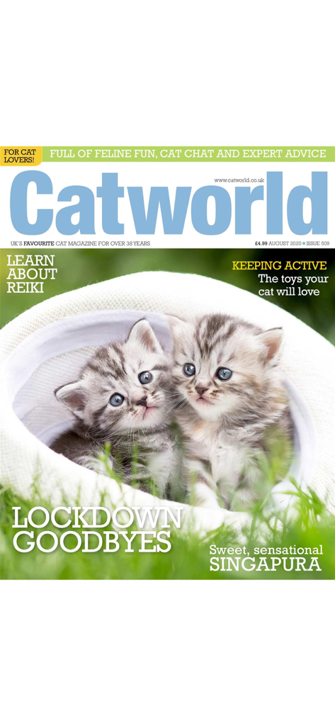 Catworld Magazine - Portada de la revista Catworld con dos gatitos atigrados grises dentro de un sombrero blanco