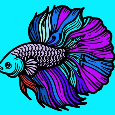 betta fish