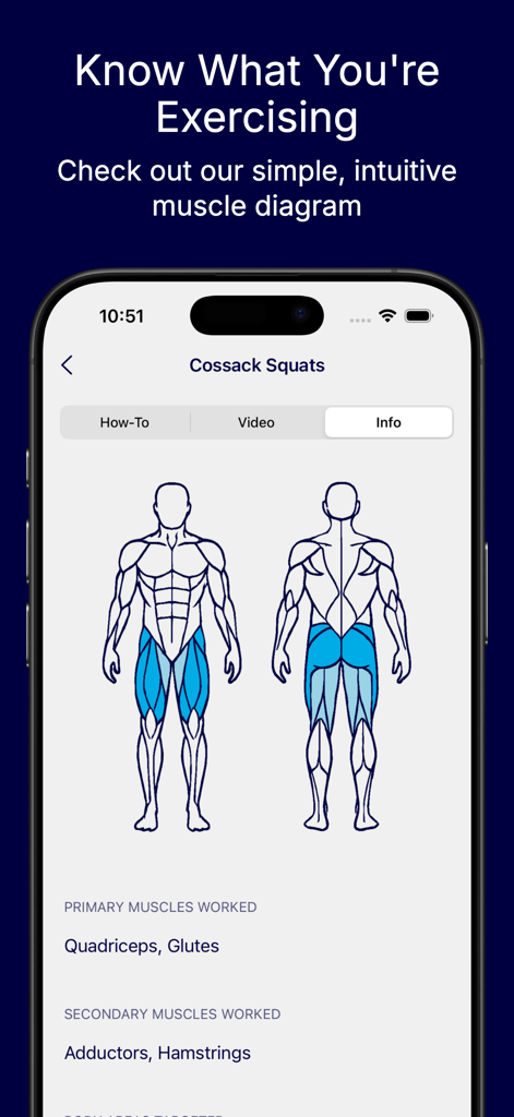 Exercisely: Simple Workout Log - Ein menschliches Muskelskelett-Diagramm in der Exercisely-App, das die primären und sekundären Muskeln hervorhebt, die während eines Kosaken-Kniebeugen-Trainings beansprucht werden