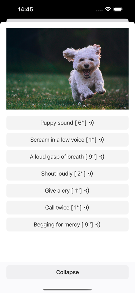 SoundHub - No Ads - A white puppy running in grass with a list of interactive dog sound buttons in the SoundHub app