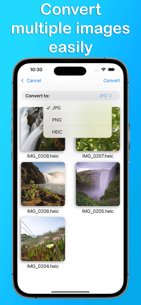 Image Converter: HEIC-JPG-PNG - Tela do aplicativo do iPhone mostrando várias fotos HEIC selecionadas para conversão em lote para formato JPG ou PNG.