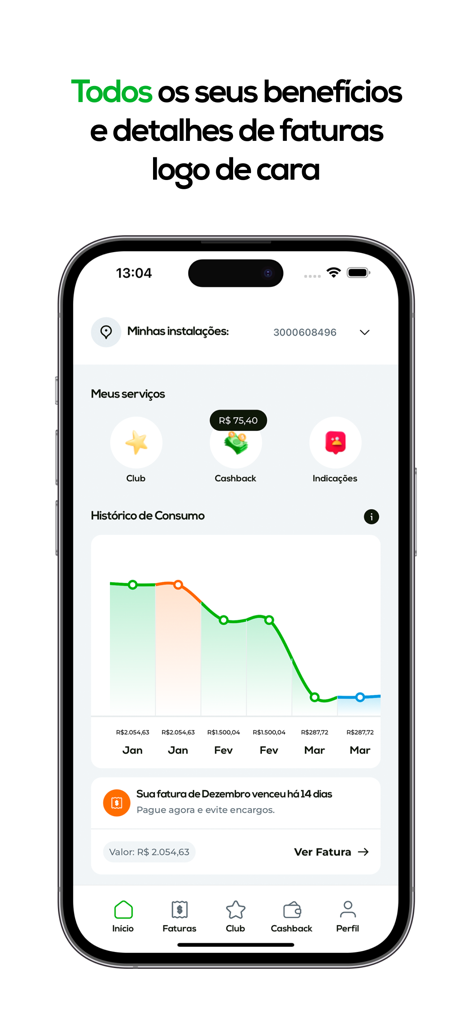 Dashboard of iGreen Club app showing an energy consumption history chart and household service icons