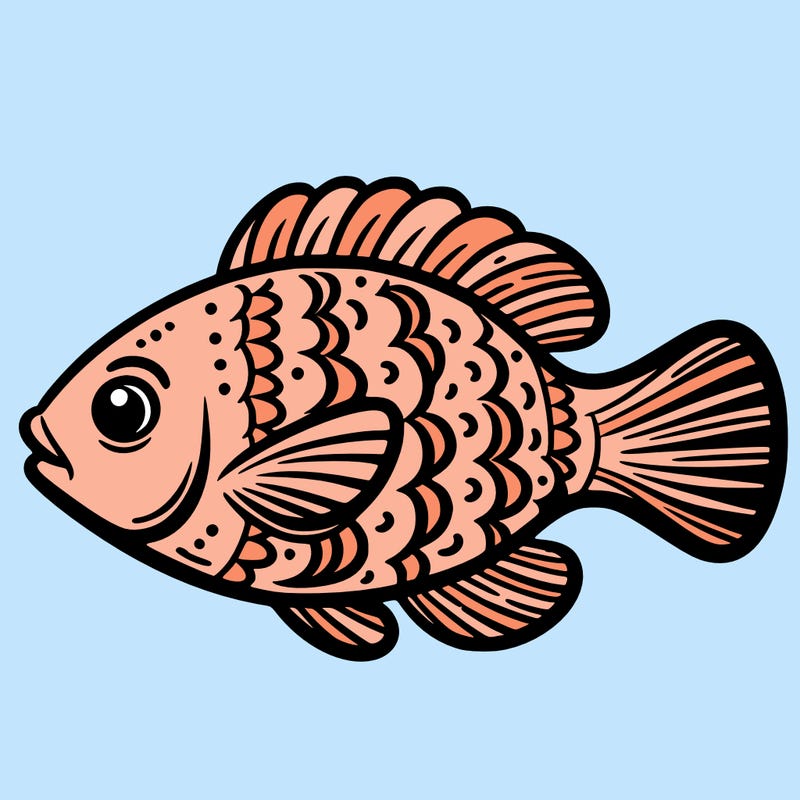 fish