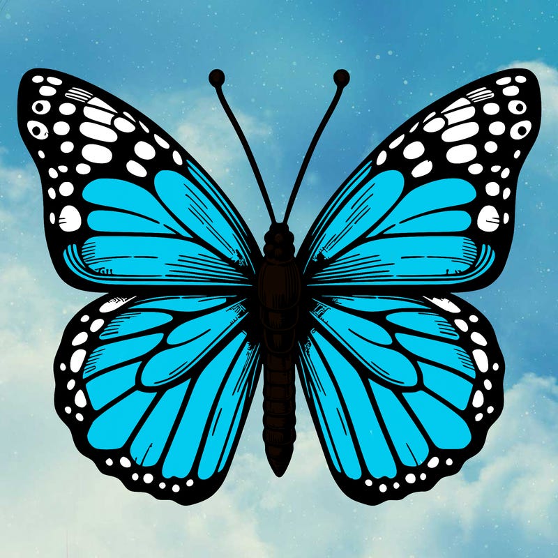 realistic butterfly