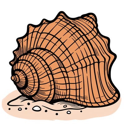 sea shell