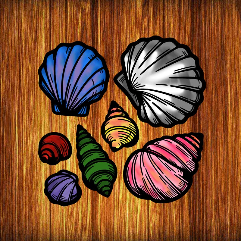 shells