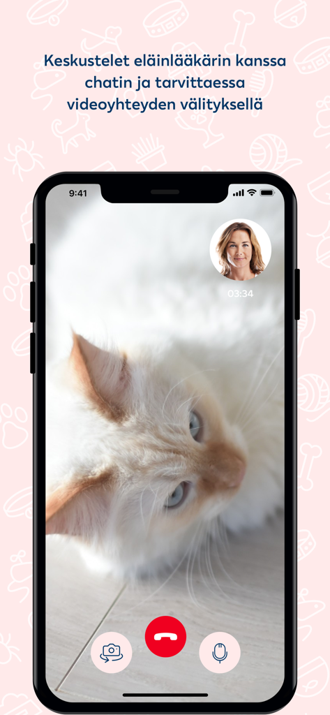 A mobile screen showing a video consultation between a pet owner with a white cat and a veterinarian.