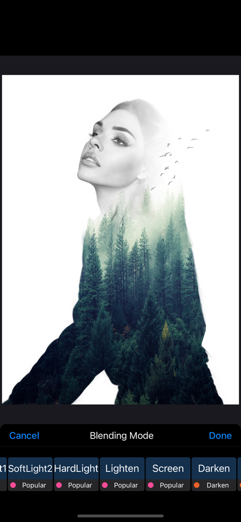 Double exposure portrait of a woman merged with a pine forest using app blending modes