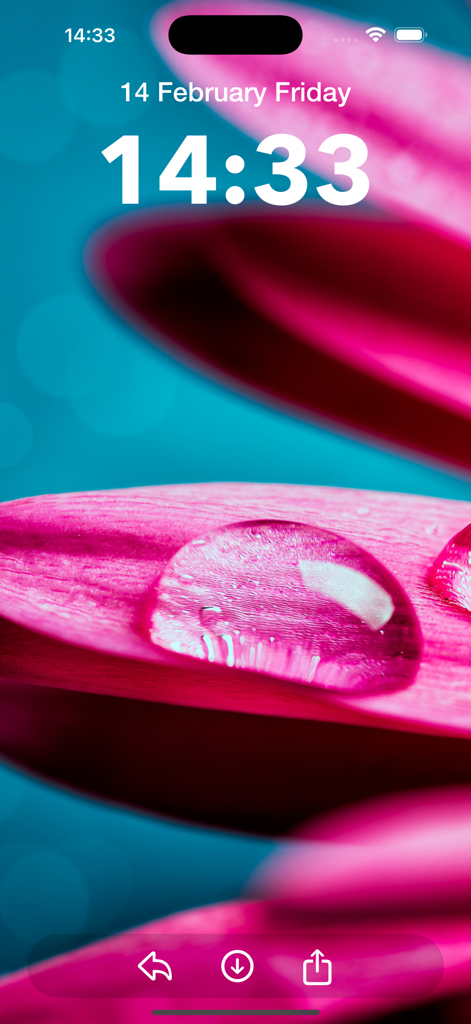 Walpium: Live Wallpapers 4K HD - 水滴が付いたピンクの花びらの高品質マクロ壁紙を特徴とするiPhoneロック画面プレビュー。