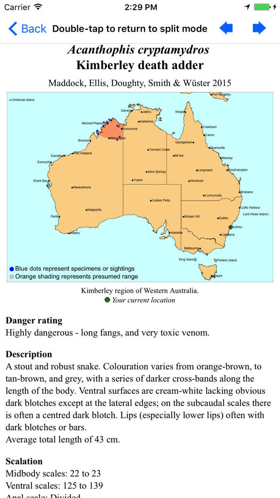 Snakes of Australia - App screen showing the Kimberley death adder profile with a distribution map and danger rating.