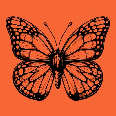 butter fly realistic