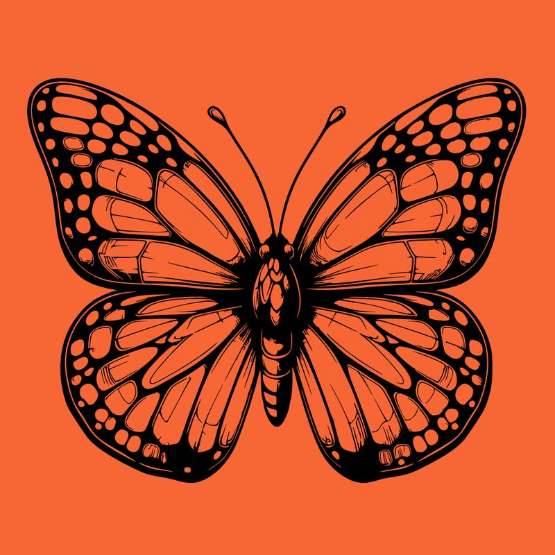 butter fly realistic