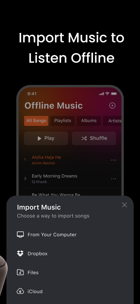 Screenshot of the music import interface showing options to download songs from computer Dropbox Files and iCloud for offline playback