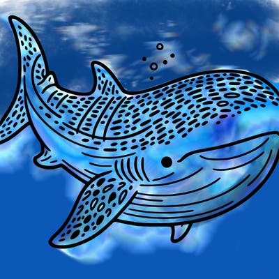 whale shark