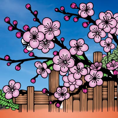 japan cherry blossom