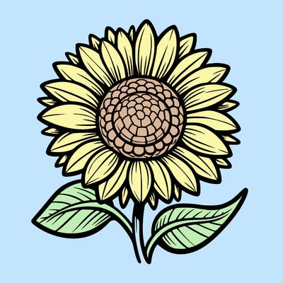 sunflower