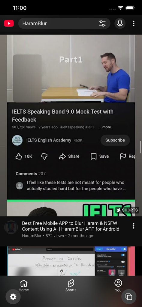 Captura de pantalla de la interfaz de la aplicación HaramBlur difuminando contenido en un video de YouTube