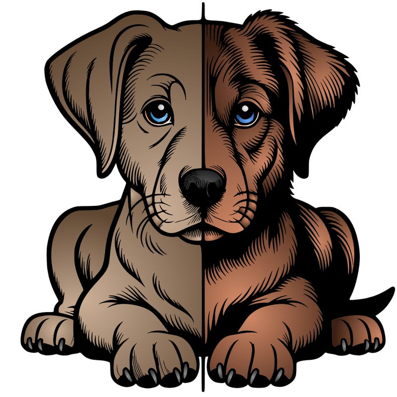 realistic dog split picture