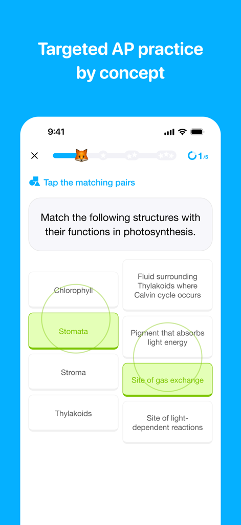 Medly - Ace AP - Interface do aplicativo Medly mostrando um jogo de correspondência direcionado de AP Biology para conceitos de fotossíntese