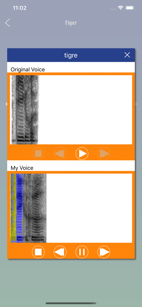 French Word Flashcards Easy - French learning app screen showing a voiceprint comparison between a native speaker and a user for the word tigre